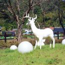 금평 농장 이미지