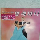 알레마나 Daum카페