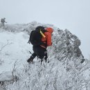 산수리 마을회관 이미지