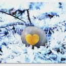 스테이고요 민박 이미지