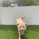 포우 파라다이스 이미지