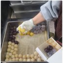 만낭포식품 이미지