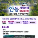 우등리무진투어여행사