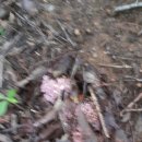 노2리마을회관 이미지