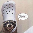 이난 이미지