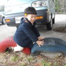 반지어린이집 이미지