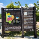 금마관광지 이미지