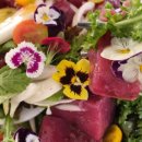 푸르메농장 이미지