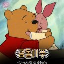 애니마인드