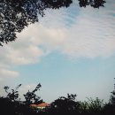 약나무집 민박 이미지