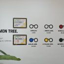 레몬트리안경원 이미지