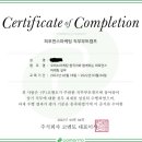 오피노마케팅 | [퍼포먼스 마케팅] 코멘토 익스턴십 직무부트캠프 후기