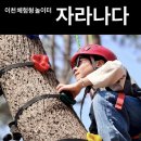 놀이터 존 | 액티브 체험 놀이터 자라나다 후기:자유존+액티브존 체험, 2시간이 모자랐던 이유