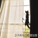 (주)바이더웨이 울산진하점 | 방충망 사화롯데캐슬방충망 안전방충망 창원촘촘망 설치 시작했습니다. 집사방충망 방묘망 설치 후기~^^