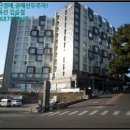 서귀동-29 네이버블로그