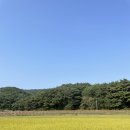 황금빛펜션 이미지