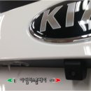 레이지니 이미지