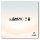 기아카브레타 | 쏘울 브레이크등 교체와 겨울철 소음 스로틀바디 청소까지 1분 꿀팁