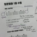 영어회화입문 | 정체된 영어 실력, 8개월 만에 반전! 정아람쌤 ‘올인원 입문회화’ 리얼 후기