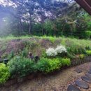 장수골 민박(안동펜션) 이미지