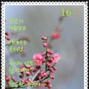 향기 이미지