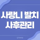 라은치과의원 이미지