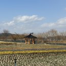 송가인공원 이미지