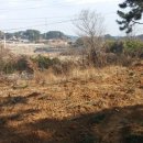 기룡농장 이미지