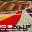 2022 홋카이도(북해도) 여름 후라노, 비에이 일일투어 영상 이미지