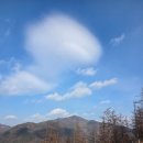 강원사슴목장 | 태백 초록뿔언덕 카페 사슴도 볼 수 있어요