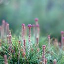 동산 농장 이미지