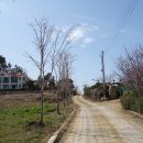 대도둘레길 04 이미지