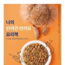 나의 반려견 이미지