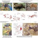 Animal painting found in cave is 44,000 years old 이미지