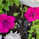 이룸민박 이미지