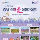 길목 웹이코노미