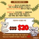 로시드 | [호주여행] 2일차 (줌줌투어/호주무한투어 후기/블루마운틴투어/시닉월드/페더데일동물원/젤라띠시모)