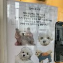 카페.안 이미지