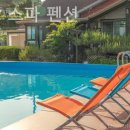 스파펜션아모르