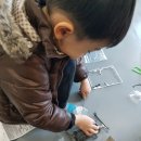 빛누리태권도장 이미지