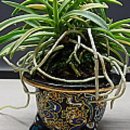 누리팜(주) 이미지