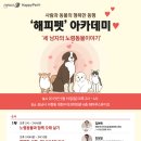 해마루스튜디오