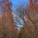 경안천습지생태공원 이미지