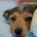 스테이리프 원룸텔 서울청량리역점 이미지