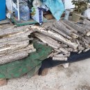 최춘식 농장 이미지