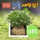 청유담 쇼핑하우