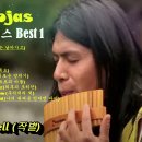 Leo Rojas(레오 로자스)의 팬플룻 연주곡 이미지