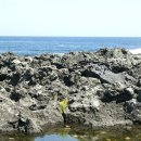 서귀포 보조기구대여센터 이미지