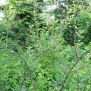 설악농장 이미지