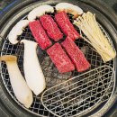 보성군 명품 메타세쿼이어길 | 울산 남구 무거동 소고기 울산대 맛집 추천 보성녹돈 명품한우